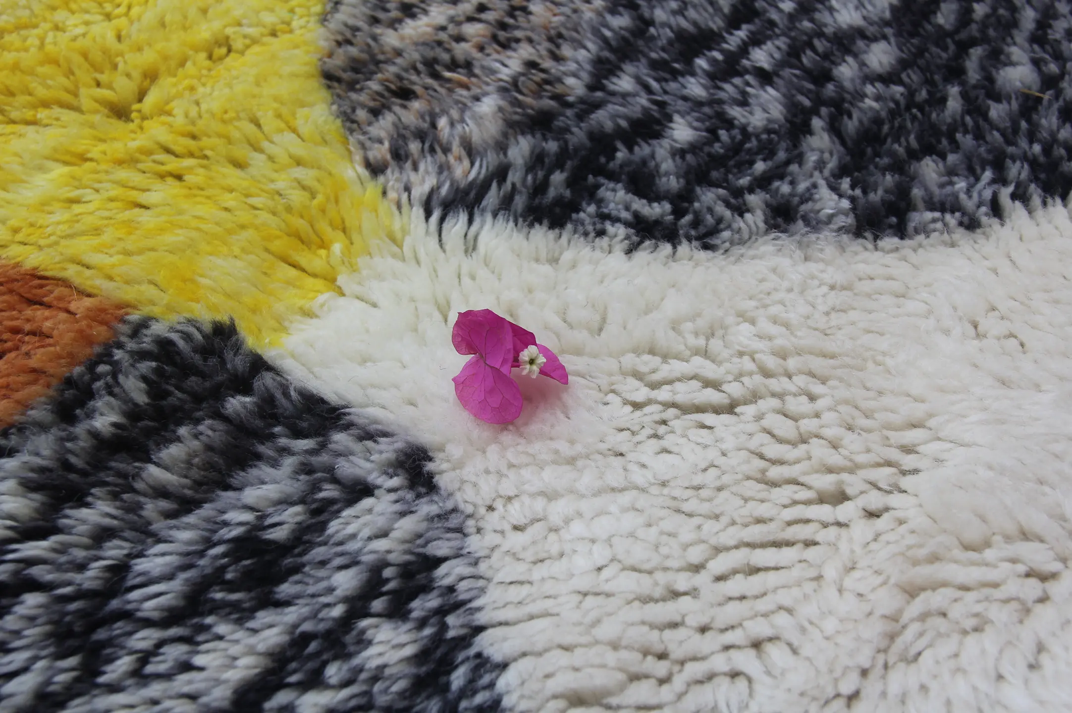 Collection contemporaine 3