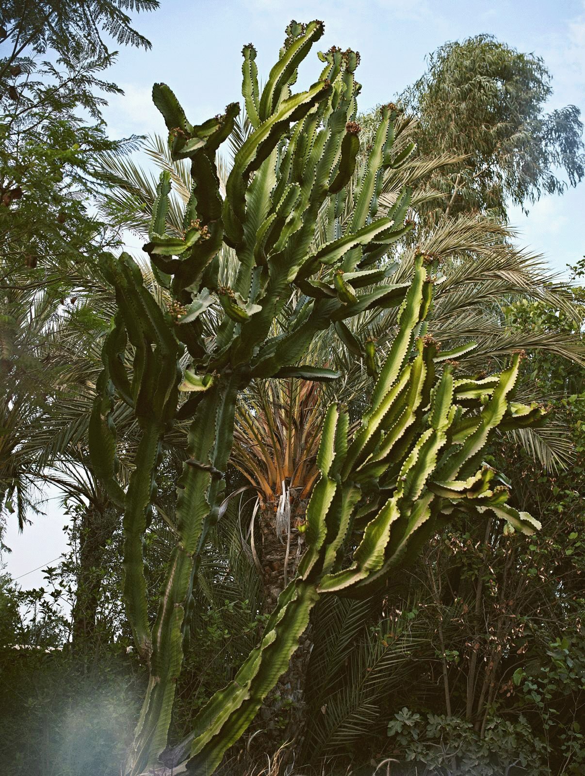 Fondateurs Kora Collect artisans marocains